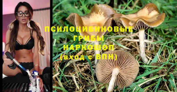 mix Абаза