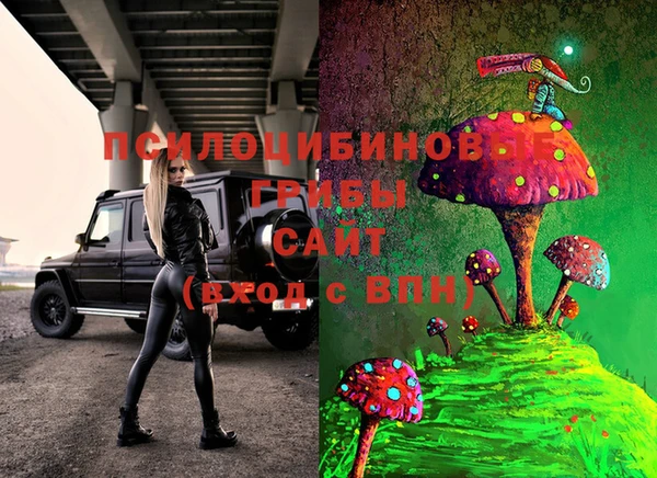 2c-b Абинск