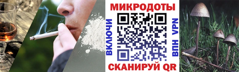 Псилоцибиновые грибы Cubensis  Балаково 